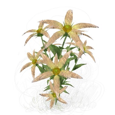 Beyaz arkaplanda izole edilmiş palmiye ağacı