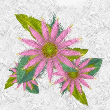 Beyaz arka plan üzerinde renkli çiçekler