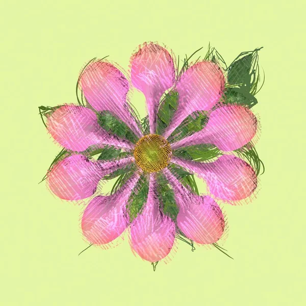 Roze Bloemen Een Groene Achtergrond — Stockfoto