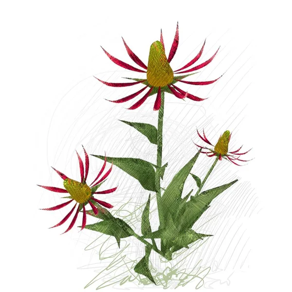 Trópusi Virágok Kórokozó Átvivő Illusztrációja — Stock Fotó