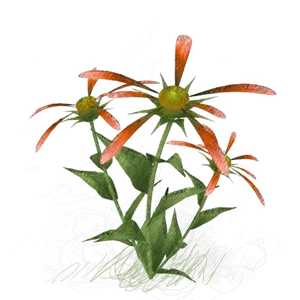 Beyaz arkaplanda güzel çiçekler 