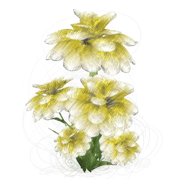 Beyaz Arkaplanda Izole Edilmiş Suluboya Çiçekleri — Stok fotoğraf