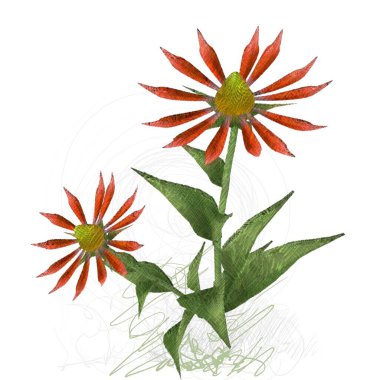 Renkli çiçek doku arka plan 