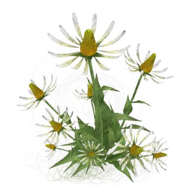 beyaz arkaplanda yeşil yapraklar izole