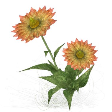 Beyaz arkaplanda çiçek