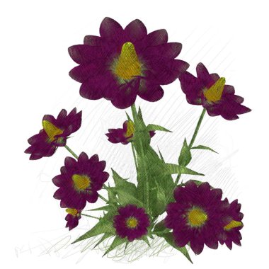 Beyaz arkaplanda güzel çiçekler