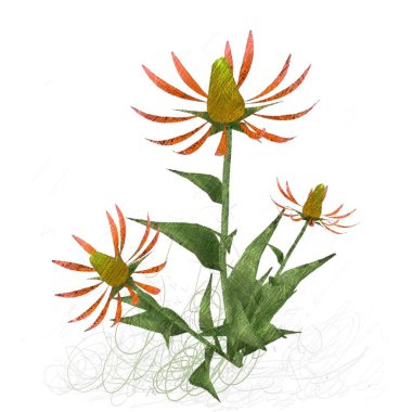 köknar yaprakları ile noel kartı