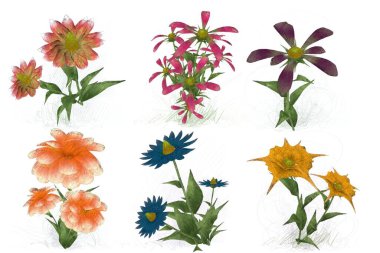 Beyaz arka planda suluboya çiçekler seti