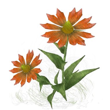 Beyaz arkaplanda güzel çiçekler 