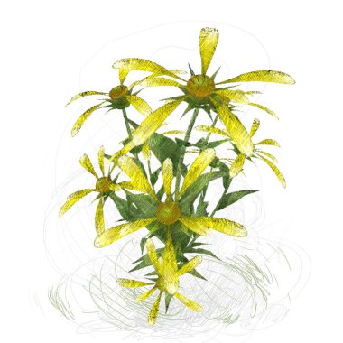 beyaz arkaplanda yeşil yapraklar izole