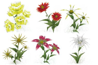 Beyaz arkaplanda izole edilmiş suluboya çiçekleri