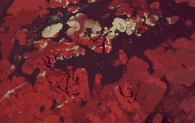 Boya lekeleriyle soyut arkaplan