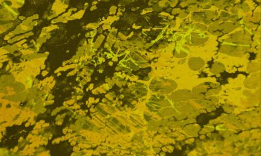 metin için alanı olan grunge arkaplanı  