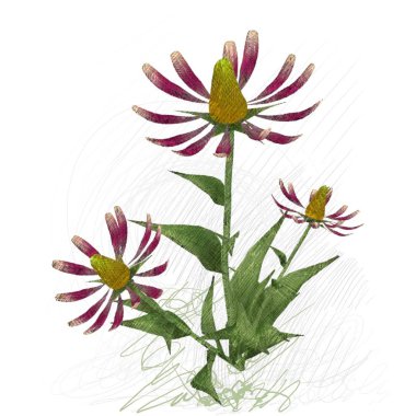 çiçek ile güzel çiçek çiçek