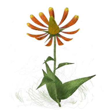 beyaz zemin üzerine suluboya çiçek