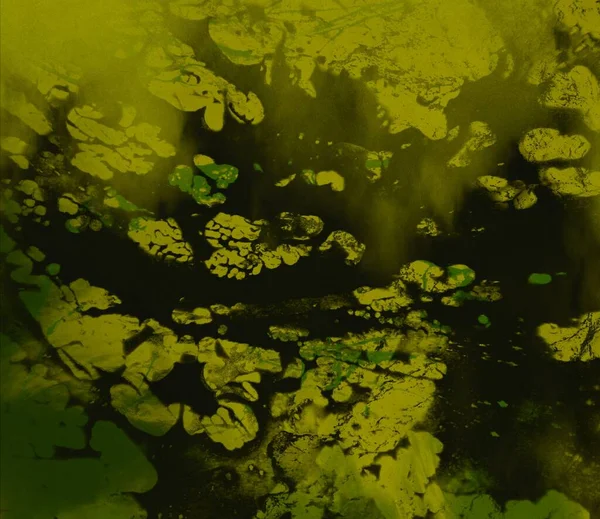 Boyayla soyut arkaplan 