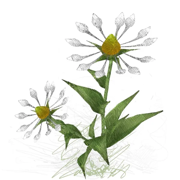 Renkli çiçek doku arka plan 