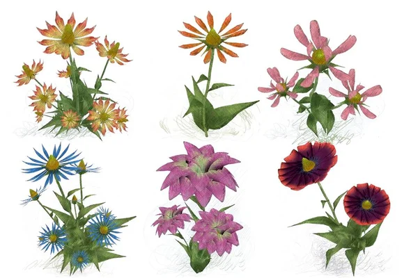 beyaz zemin üzerine suluboya çiçek