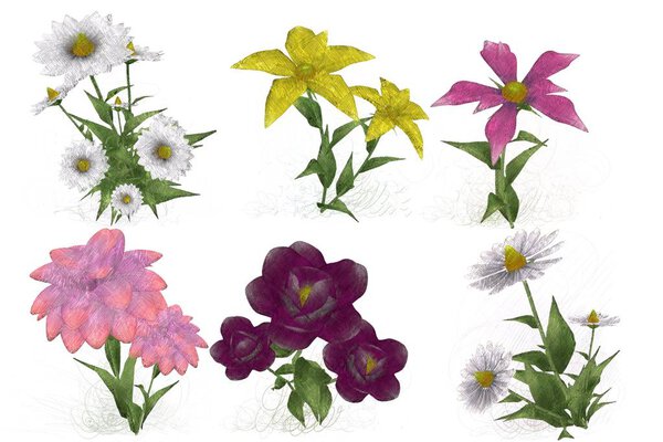 Акварель цветы изолированы на белом фоне