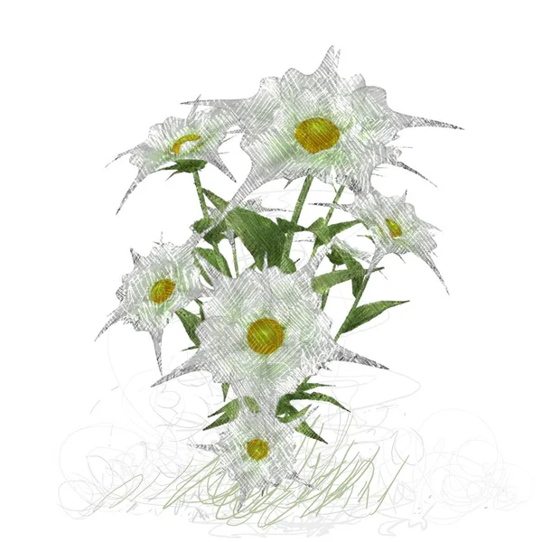 Beyaz Arka Planda Izole Dağınık Grungy Çiçekler — Stok fotoğraf