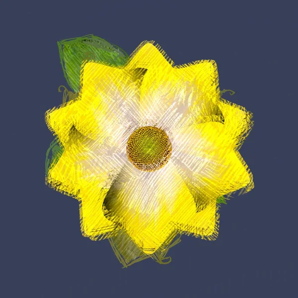 Żółty Kwiat Czarnym Tle — Zdjęcie stockowe