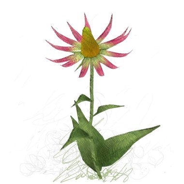 Beyaz arka planda izole çiçek