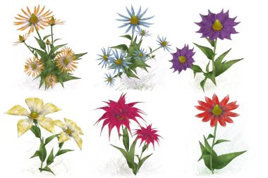 Beyaz arka planda suluboya çiçekler seti