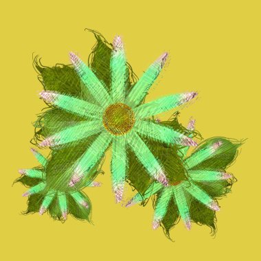 Beyaz arka plan üzerinde izole renkli ananas