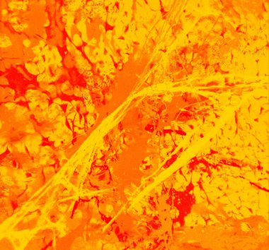 metin için alan ile arka planda soyut renkli lekeler