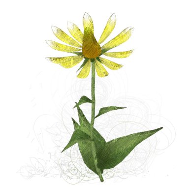 beyaz arkaplanda izole edilmiş yeşil çiçek