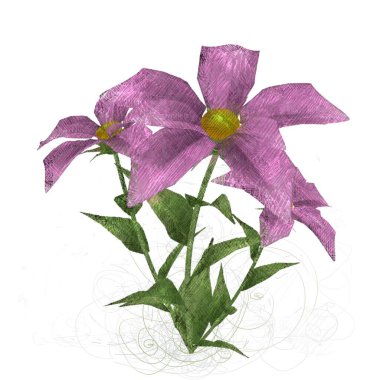 Pembe Gül beyaz arkaplanda izole edildi