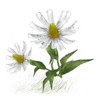 beyaz arka plan üzerinde izole güzel suluboya çiçek