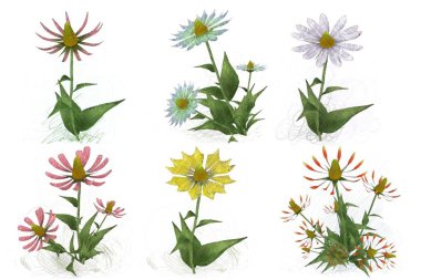 Beyaz arkaplanda güzel çiçekler