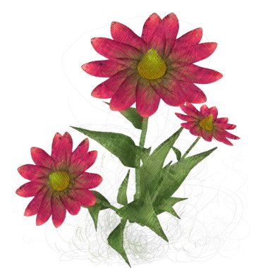 Beyaz arkaplanda güzel çiçekler