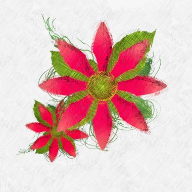 Beyaz arkaplanda güzel çiçekler