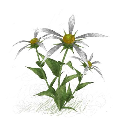 Beyaz arkaplanda izole edilmiş noel ağacı