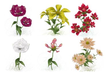 Beyaz arkaplanda izole edilmiş suluboya çiçekleri