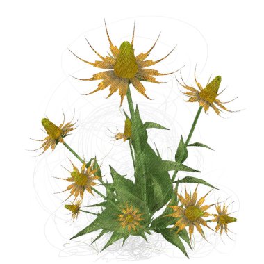 Beyaz arkaplanda güzel çiçekler 