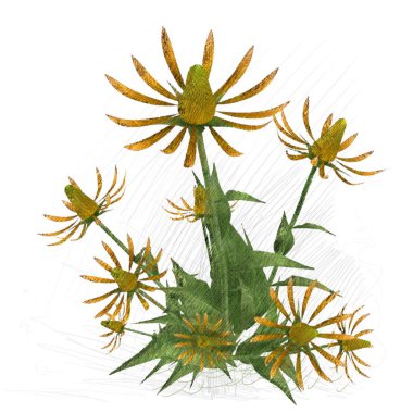 beyaz zemin üzerine suluboya çiçek