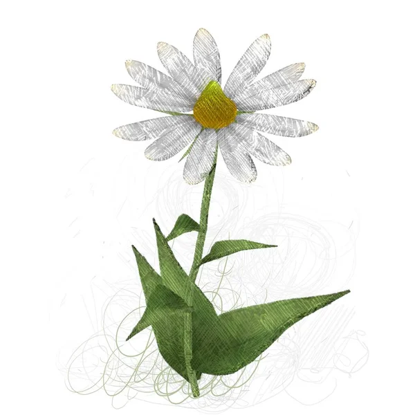 Akwarela Kwiaty Białym Tle — Zdjęcie stockowe