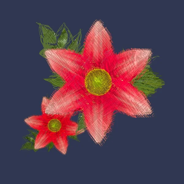 Röd Blomma Vit Bakgrund — Stockfoto