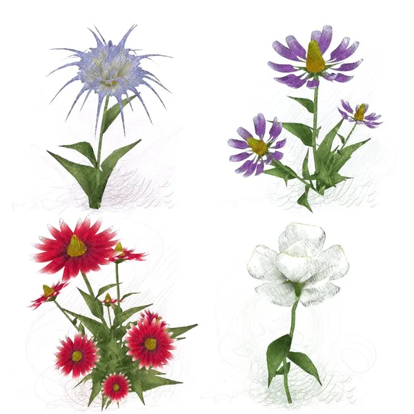 Akvarell Virágok Elszigetelt Fehér Háttér — Stock Fotó