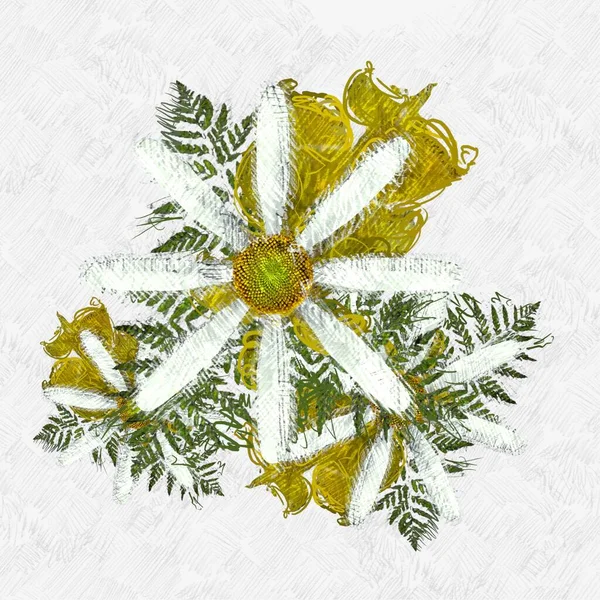 Χριστουγεννιάτικα Φύλλα Λευκό Φόντο — Φωτογραφία Αρχείου