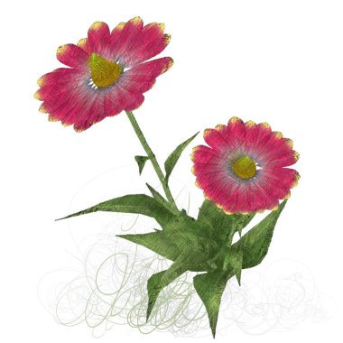 Beyaz arka planda izole çiçek