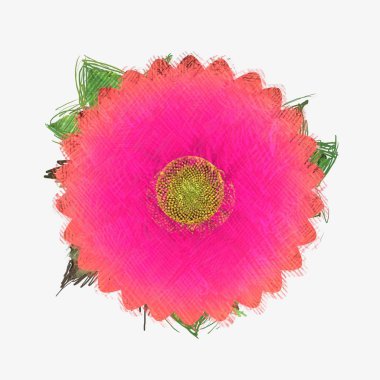 beyaz izole kırmızı çiçek