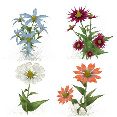 Beyaz arka planda suluboya çiçekler seti