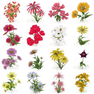 Beyaz arka planda suluboya çiçekler seti