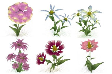 Beyaz arkaplanda güzel çiçekler