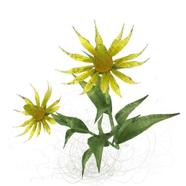 Beyaz arkaplanda izole edilmiş palmiye ağacı