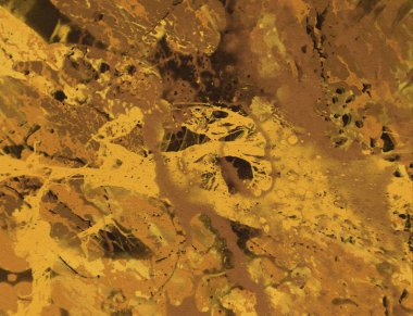 boya lekeleri ile grunge arka plan 